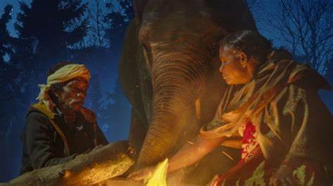 The Elephant Whisperers : All you need to know about this Oscar winning short documentary