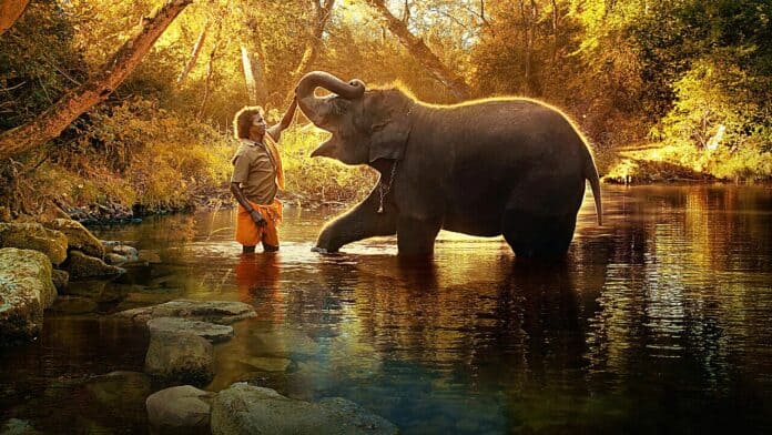 India Shines at Oscar 2023 with Nattu and The Elephant Whisperers