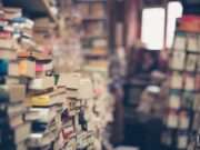 Sociology of Education: Society’s Influence on Educational Systems