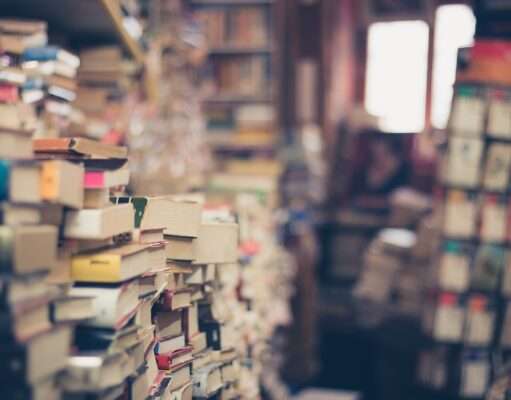 Sociology of Education: Society’s Influence on Educational Systems