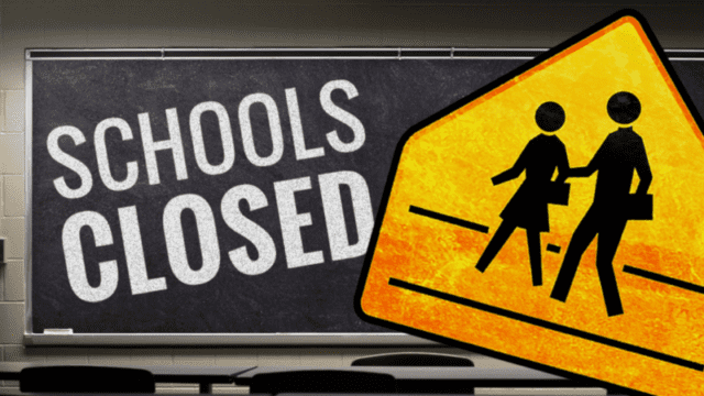 Schools-1-800x450