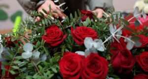 Celebrating Love: The Complete Guide to February Days in 2025