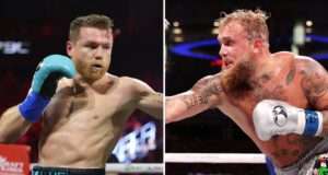 canelo alvarez
