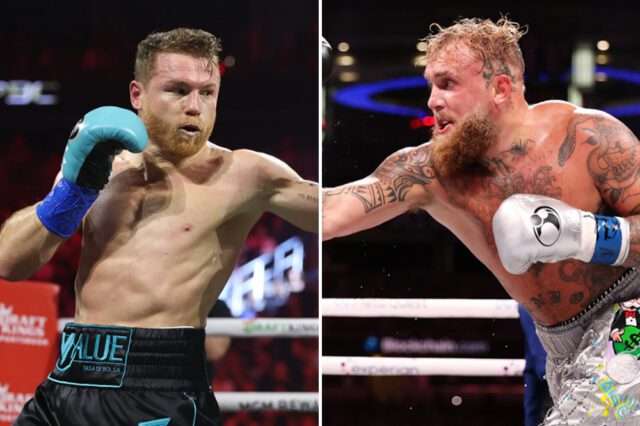 canelo alvarez canelo alvarez