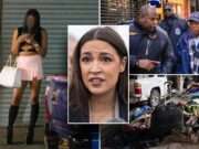 Operation Restore Roosevelt: A Case Study in Community Safety and Policing aoc