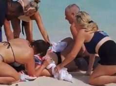 Shark Encounters and Tourist Safety: What You need to know The Risks of Close Encounters: What Tourists Should Know About Shark Interactions