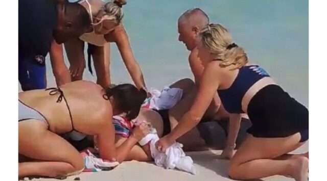 The Risks of Close Encounters: What Tourists Should Know About Shark Interactions The Risks of Close Encounters: What Tourists Should Know About Shark Interactions