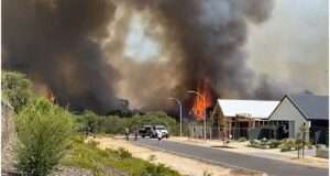 Understanding the Impact of Recent Bushfires in Dunsborough: Community Response and Resilience