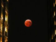 Blood Moon Over California: A Stunning Lunar Eclipse Captivates Stargazers Explore the captivating experience of lunar eclipses and learn how to enjoy these celestial events to the fullest (static01.nyt.com).