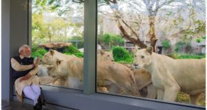 Explore Vantara, India's largest wildlife rescue and rehabilitation centre, showcasing advanced facilities and conservation initiatives for endangered species (akm-img-a-in.tosshub.com)