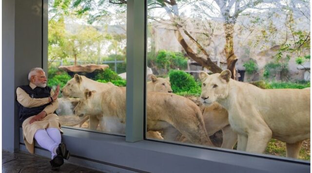 Exploring Vantara: A New Era in Wildlife Conservation - Image 1 Explore Vantara, India's largest wildlife rescue and rehabilitation centre, showcasing advanced facilities and conservation initiatives for endangered species (akm-img-a-in.tosshub.com)