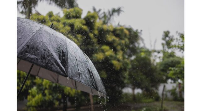 Navigating San Diego's Rainy Season: Essential Tips and Forecasts - Image 1 Prepare for San Diego's rainy season with essential safety tips and weather forecasts to ensure a smooth and safe experience (media.nbcsandiego.com).