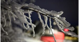 Explore the severe storm system's impact in the South, including tornadoes and wind damage, and learn how to stay safe (s.yimg.com).