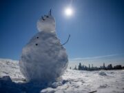 Chicago’s Weekend Weather Whiplash March 2025: From Snowy Freeze to Spring Heatwave Chicago faces a weekend of extreme weather changes, from snow to highs in the 60s, highlighting spring's unpredictability. Image courtesy (www.chicagotribune.com)