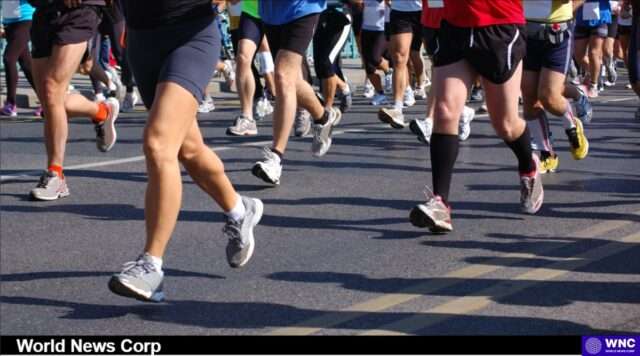 Exploring the Brooklyn Experience Half Marathon Route: A Runner's Paradise Discover the unique route of the Brooklyn Experience Half Marathon, showcasing iconic neighborhoods and community spirit in 2025. Image courtesy (jb-optimus.s3.ap-south-1.amazonaws.com)