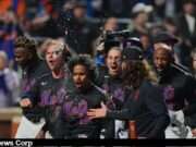 Francisco Lindor’s 250th HR Caps Mets’ Walk-Off Win: Is This the Spark for New York’s 2025 Playoff Push? Francisco Lindor's 250th home run leads the New York Mets to a walk-off win, showcasing his vital role in the team's revival. Image courtesy (jb-optimus.s3.ap-south-1.amazonaws.com)