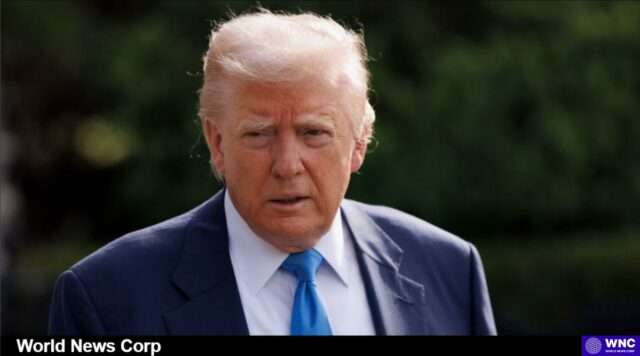 Navigating the Complexities of Trump's Immigration Agenda: A Deeper Dive Exploring Trump’s immigration policies, including sanctuary cities and English proficiency requirements for truck drivers (media.cnn.com).