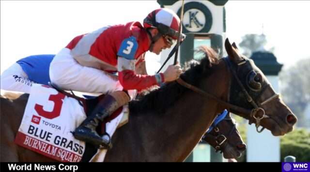 The Road to the Roses: Insights and Predictions for the 151st Kentucky Derby Explore insights and predictions for the 151st Kentucky Derby, featuring top contenders and trainers as the excitement builds (cdnph.upi.com).