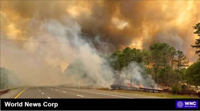 Understanding the Impact of the Jones Road Wildfire in Ocean County, NJ Explore the ongoing impact of the Jones Road Wildfire in Ocean County, NJ, including evacuations, firefighting efforts, and community stories (images.foxweather.com).