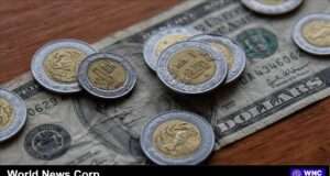 Explore the dynamics of the peso against the dollar and economic forecasts for 2025 (www.infobae.com).