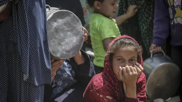 Israel denying food to Gaza Israel denying food to Gaza