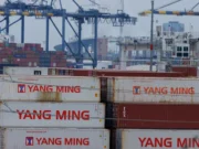 Chinese imports fall due to tariffs