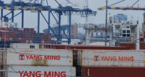 Chinese imports fall due to tariffs