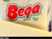 Mid-2025: Bega Cheese’s Strathmeton Closure to Axe 300 Jobs – What’s Next for the Devastated Local Community? Bega Cheese's Strathmerton facility closure impacts 300 jobs, affecting the local community's economy and workforce. Image courtesy (jb-optimus.s3.ap-south-1.amazonaws.com)